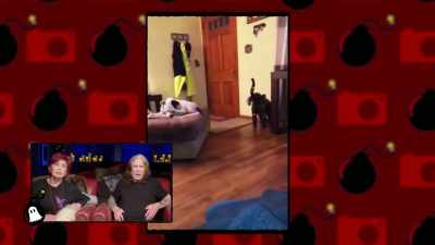 [woman] Oh... [bleep] - The Osbournes Want to Believe