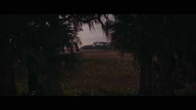 [woman] Once upon a time, - The Young Wife