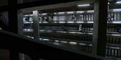[WOMAN OVER P.A.] Welcome to Reach Transit. - Halo