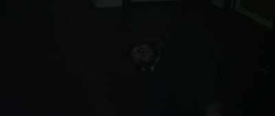 [woman screaming] Brian! - River of Ghosts