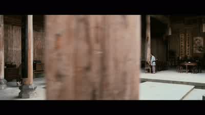 Woman: Shu lien! - Crouching Tiger, Hidden Dragon