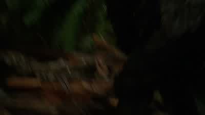 Woman: Son of a bitch! - The 100