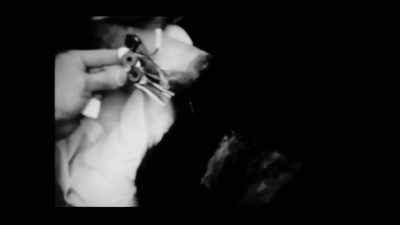 Woman: The electrodes are attached to a small, transistorized electrical stimulator - The Minds of Men