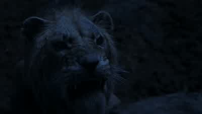 Uh, Scar! - The Lion King