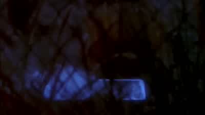 Wong is gonna have a heart attack. - NCIS