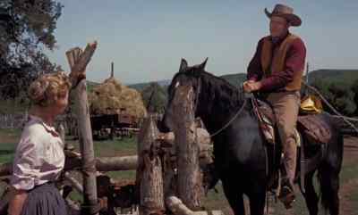 Won't you get down, Mr. Sanderson? - Old Yeller