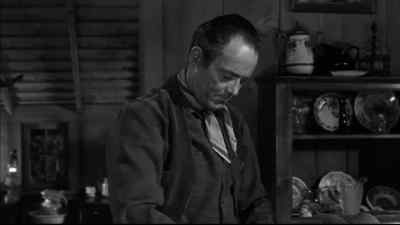 Won't we never see you again? - The Tin Star