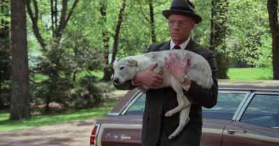 Won't you please change your mind
and come stay with us? - Slaughterhouse Five