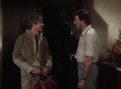 - Woo! Boy, the hawk is out tonight, son.
- Yeah. - Magnum, P.I.