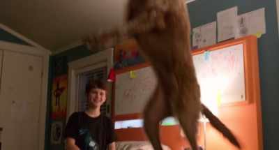 Woo! Whoa.
How do I jump this high? Friendship. - Think Like a Dog