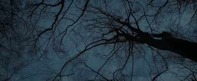 (wood creaking)
(ominous music) - Sunrise