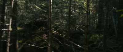 -[wood creaks]
-[pants] - Lost on a Mountain in Maine