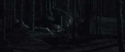 [wood creaks] - Azrael