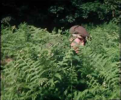 Wood smoke. - Last of the Summer Wine