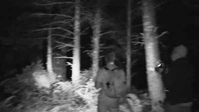 [wood snapping] - Expedition Bigfoot