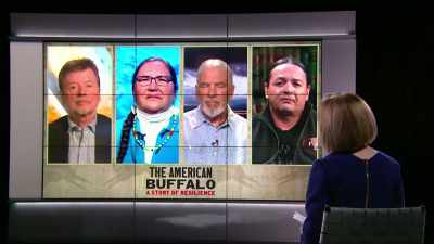 WOODRUFF: And Ken,
going back to your really - The American Buffalo