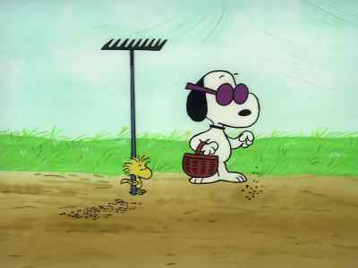[WOODSTOCK SLURPS] - It's Arbor Day, Charlie Brown