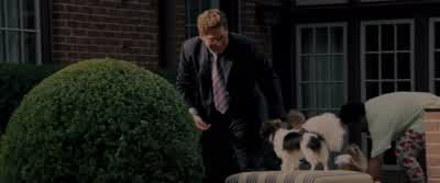 Woof I hate that fucking dogYeah he's getting old and decrepitStarting to shit in the house again - The Wolf of Wall Street