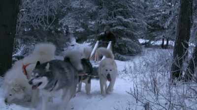 Woooe. Whew! - Life Below Zero: Next Generation