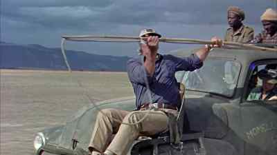 Work them out onto the flats. - Hatari!