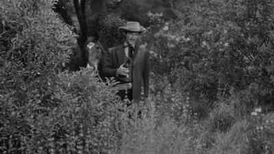Worked fine. - The Lonely Man