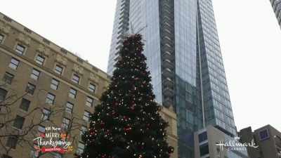 Working at McLeeds
has been an honor, - The Christmas Contest