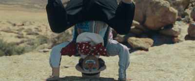 World's first
daredevil chicken! - Honey Boy