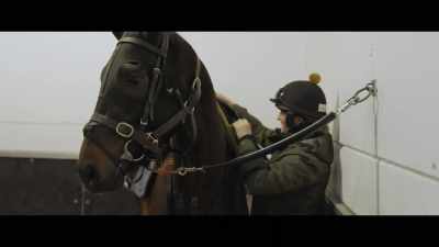 Worries about Alcohol
Free are sufficient enough - Horsepower