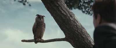 "Worry is the way to concern." - Christopher Robin