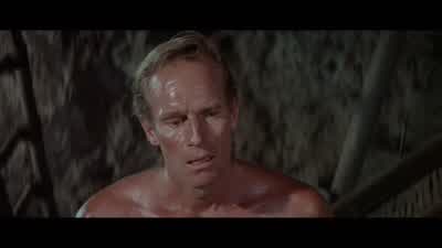 Dr Zaius would an ape make a human dollthat talks - Planet of the Apes