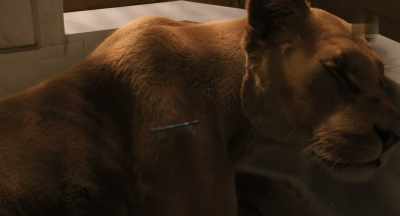 Would Dylan get
this close to a lion? - Dolittle