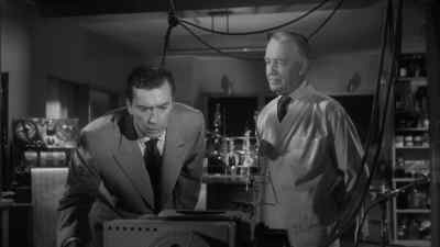 Would you kindly read
what is reported there? - The Colossus of New York