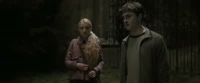 Would you like me to fix it for you? - Harry Potter and the Half Blood Prince