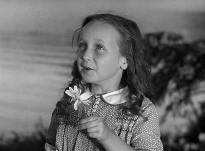 Would you like one of my flowers - Frankenstein