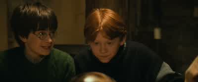 ...would look into the mirror and see only himself... - Harry Potter and the Philosopher's Stone