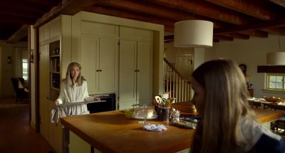 Would you mind getting inside the oven to clean it - The Visit