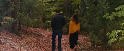 Would you please - The Proposal