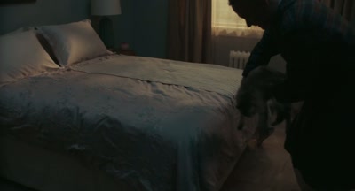 Would you rather
sleep outside, - A Man Called Otto