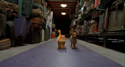Would you slow down I've been doing this running thing all day and I am over it - Garfield