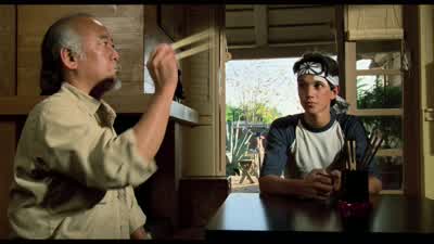 Hey, wouldn't a fly swatter be easier? - The Karate Kid