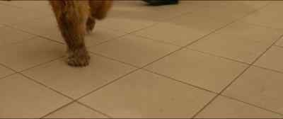 Wow, I feel good - Paddington