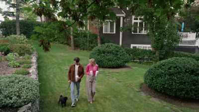 Wow, I guess the forest path
wasn't a fluke after all. - The Dog Lover's Guide to Dating