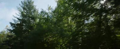 Wow I'm out in those woods every day - Pete's Dragon