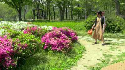 Wow, isn't this pretty? - In Front of Your Face