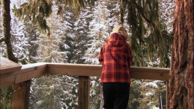 WOW, IT'S BEAUTIFUL
UP HERE, ISN'T IT? - The L Word