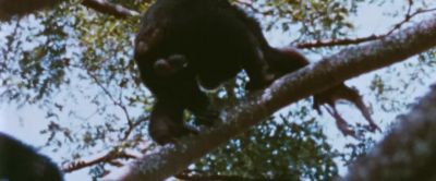 Wow look at that Those balls are sensational - Strange Wilderness