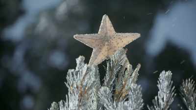 Wow, look at that tree topper. - Christmas Keepsake