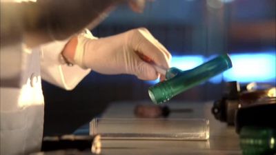 Wow. - CSI: Miami