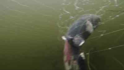 WOW. - The Last Alaskans