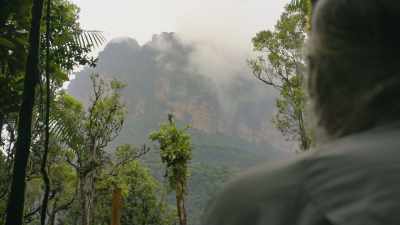 Wow. So, did they say
where they're going up? - Explorer: The Last Tepui